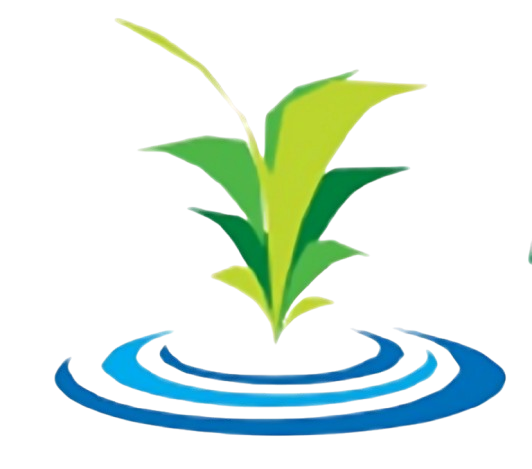 Excel Chemicals Logo
